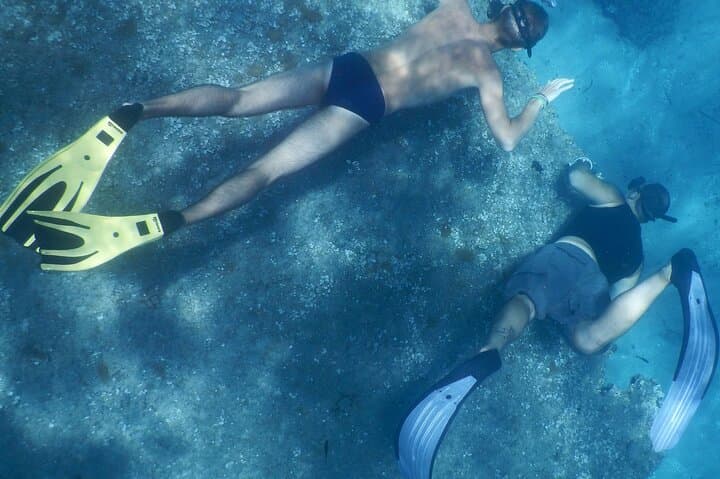 Snorkeling the Orosei Gulf: Half-Day Cala Gonone Marine Adventure photo 3