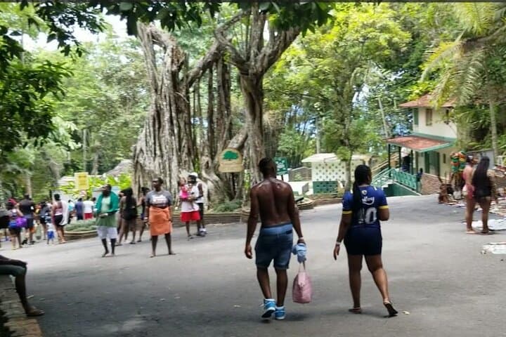 Dunns River Falls and River Tubing Day Tour from Montego Bay photo 4