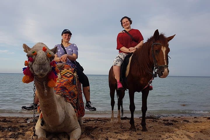 Hurghada Horse Riding: 3-Hour Beach, Desert & Red Sea Horse Swim Experience photo 3