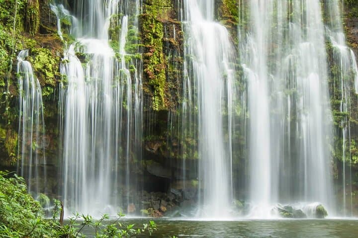 Rio Celeste, Sloth Sanctuary & Llanos de Cortés Waterfall: Tenorio Day Tour photo 4