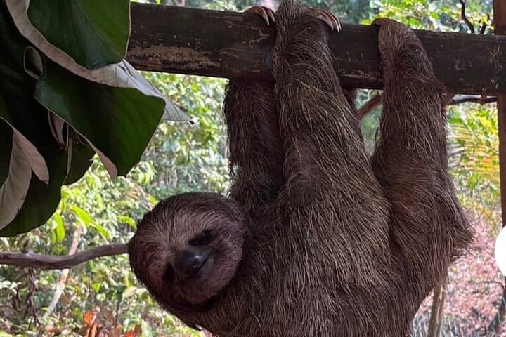 Roatan Wildlife & ATV Adventure: Eco-Park Jungle Trails and Rum Tasting photo 5