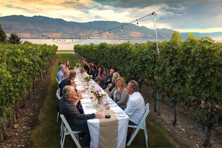 Private Kelowna Wineries Tour: Lake Okanagan Wine Tasting & Scenic Drive photo 6