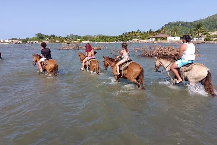 Maimon Bay Horseback Ride: 3-Hour Coastal Trail in Puerto Plata photo 4