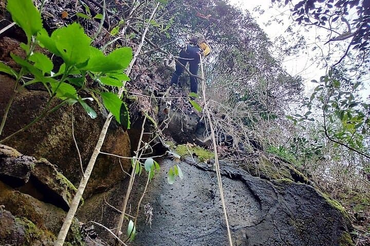 Private Jungle Waterfall Adventure on Kauai with Da Hawaiian Dundee photo 4