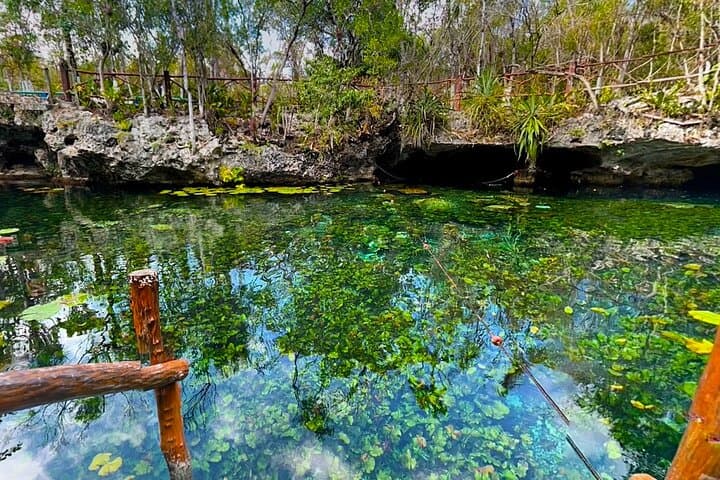 Cenotes El Pit & Nicte Ha Guided Scuba Diving — Dive the Dos Ojos Cave System photo 2