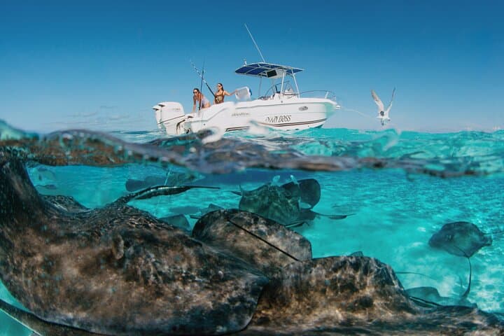 Private Boat Charter Snorkel Stingray City & Bioluminescent Bay — Grand Cayman photo 1
