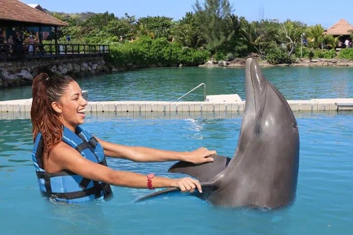 Day Trips from Kingston: Private Full-Day Tours of Jamaica's Capital photo 2