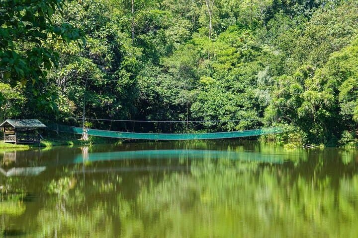 Sandakan Wildlife Day: Sepilok Orangutan, Proboscis Monkeys & Sun Bears photo 5