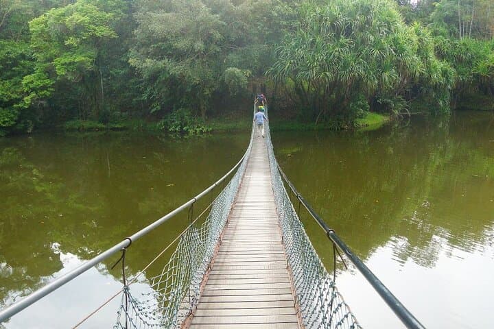 Sandakan Wildlife Day: Sepilok Orangutan, Proboscis Monkeys & Sun Bears photo 4
