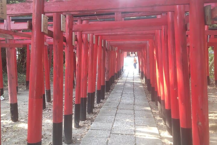 Shizuoka Cultural Loop: Ryuge-ji, Tea Fields & Nihondaira Yume Terrace photo 4