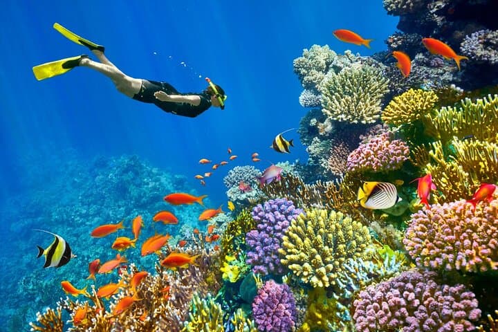 Tiran Island Snorkeling Day Trip from Sharm El Sheikh photo 2
