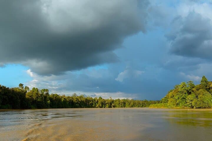 Kinabatangan River Wildlife Cruise: 3-Day River Safari from Sandakan