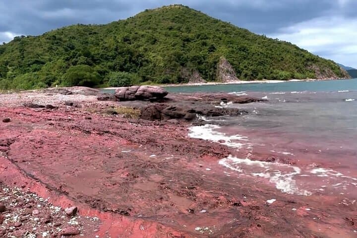 Red Coast Hopping: Hong Kong Geopark Boat Tour to Bluff Head & Red Rock Gate photo 4