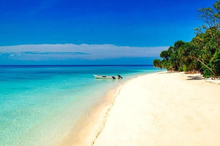 2D1N Selingan Turtle Island Tour — Night Nesting & Snorkel Experience