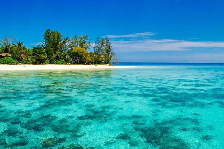 2D1N Selingan Turtle Island Tour — Night Nesting & Snorkel Experience photo 2