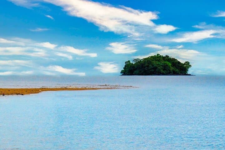2D1N Selingan Turtle Island Tour — Night Nesting & Snorkel Experience photo 4