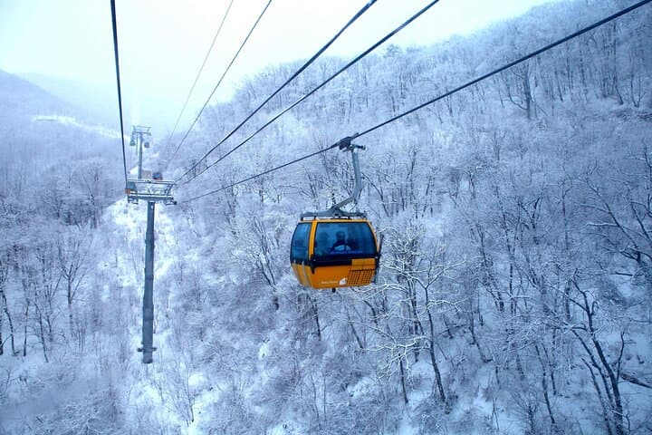 Balwangsan Cable Car & Samyang Ranch: Skywalk, Summit Views and Korea’s Largest Ranch in a Day photo 3