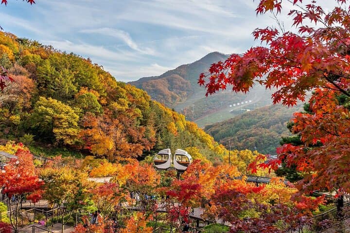 Hwadam Botanic Garden, Namhansanseong & Korean Folk Village Day Trip from Seoul