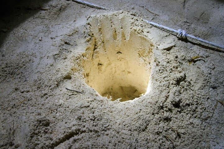 2D1N Selingan Turtle Island Tour — Night Nesting & Snorkel Experience photo 5