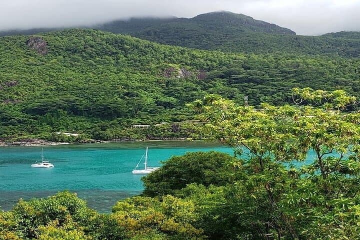 Mahe Zipline and Port Launay Snorkeling Half-Day Adventure photo 6