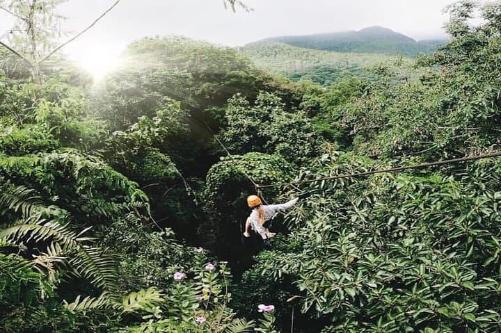 Mahe Zipline and Port Launay Snorkeling Half-Day Adventure