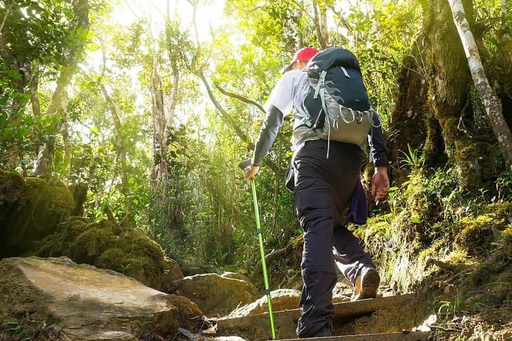 Kanching Waterfall, Selayang Hot Springs & Kuala Selangor Firefly Tour: Day Trip from Kuala Lumpur photo 4
