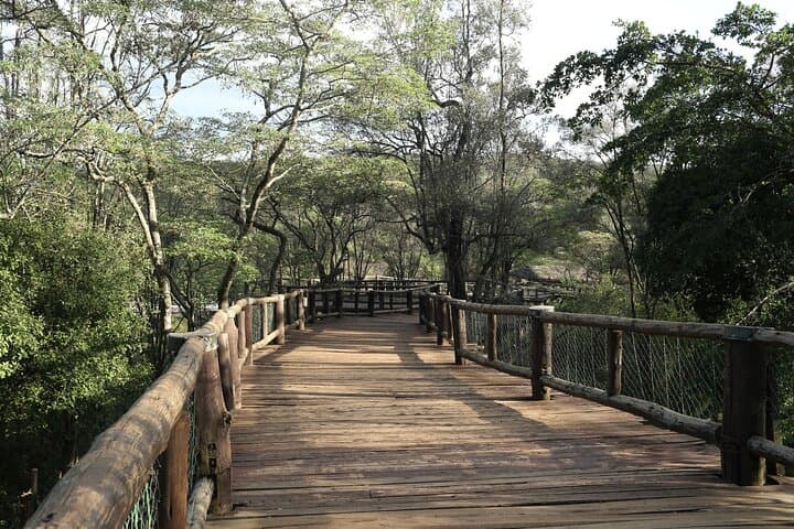 Explore Nairobi Safari Walk: A Half-Day Urban Wildlife Adventure photo 2