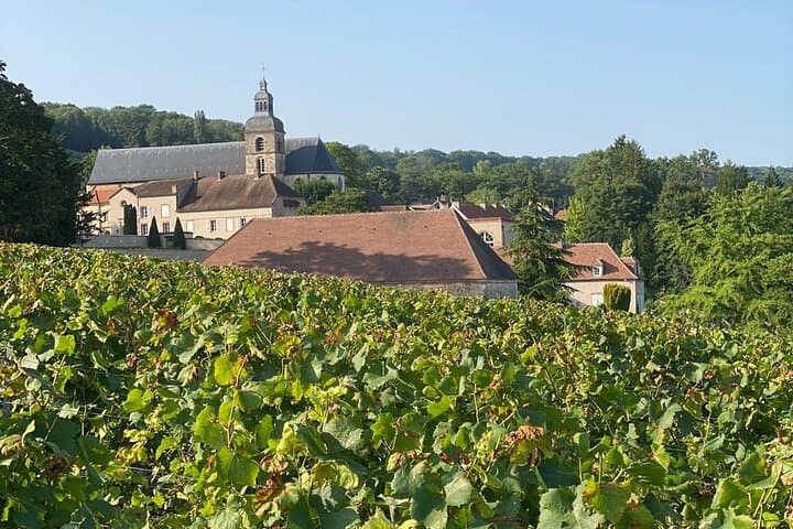 Champagne Day Tour from Paris: Sommelier-Led Visits to Reims & Hautvillers photo 4