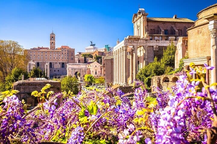 7-Hour Rome Shore Excursion from Civitavecchia: Colosseum, Vatican, Trevi & Pantheon photo 4