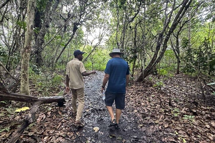 Zanzibar Jozani Forest, Sea Turtle Sanctuary & The Rock Restaurant Day Tour photo 3