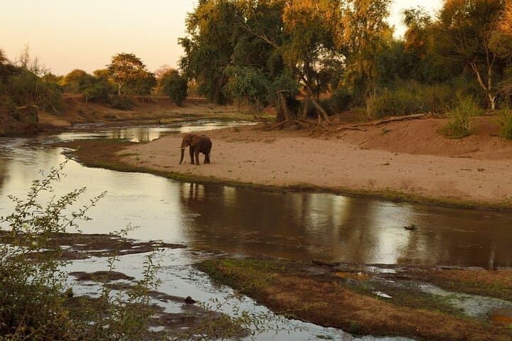 Full-Day Kruger Game Drive: Big Five Safari from Hazyview photo 6