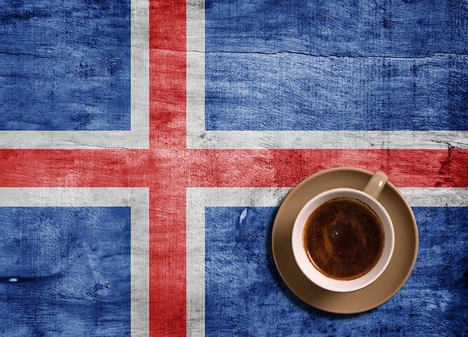 Reykjavik Meet & Greet: Personalized Arrival Orientation & City Introduction photo 2