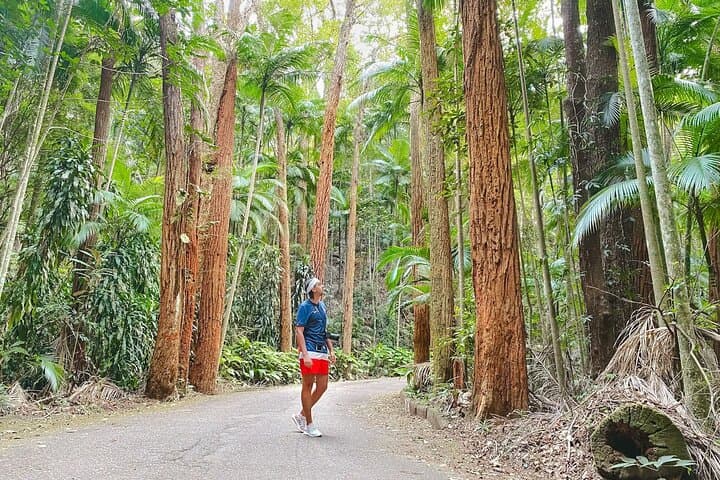 Rio's Green Heart: Botanical Garden Walk and Tijuca Forest Trails photo 3