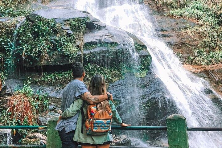 Rio's Green Heart: Botanical Garden Walk and Tijuca Forest Trails photo 4