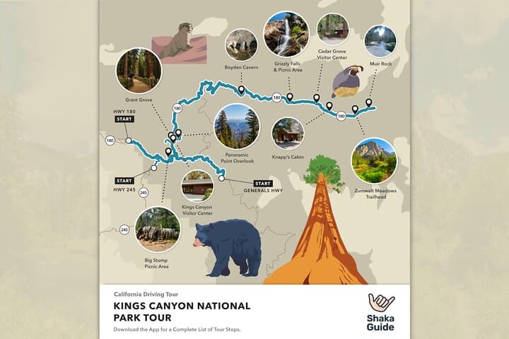 Kings Canyon Self-Guided Audio Tour — Drive, Hike and Giant Sequoias photo 4
