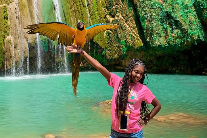 Samaná Day Trip: El Limón Waterfall, Playa Rincón & Cayo Levantado (Bacardi Island)