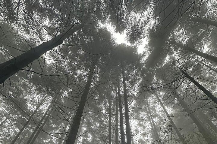 Sunrise Hike to Pico del Águila — Las Alturas Dawn Trek Near Mexico City photo 6