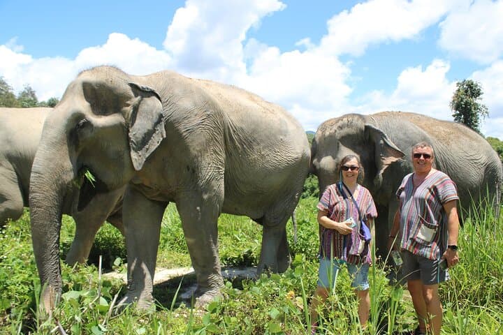Chiang Mai Ethical Elephant Sanctuary Half-Day Tour: Meet Rescued Elephants photo 4