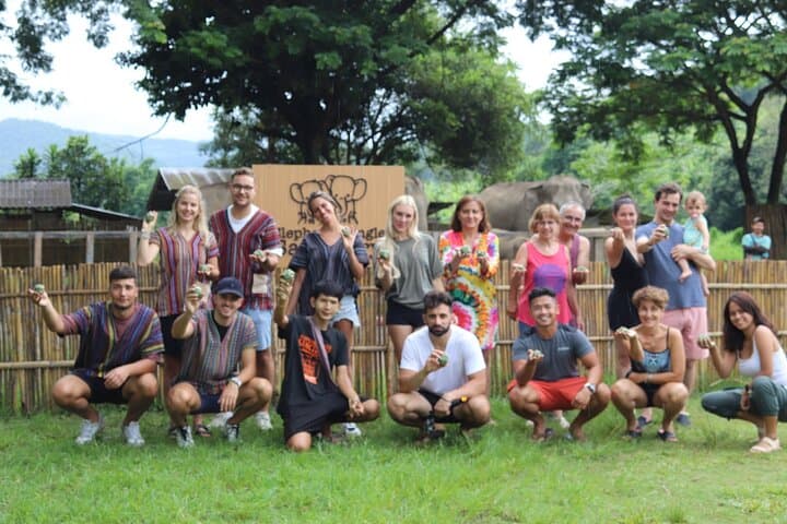 Chiang Mai Ethical Elephant Sanctuary Half-Day Tour: Meet Rescued Elephants photo 6