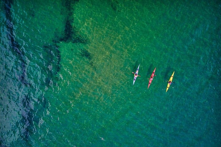 Tomales Bay Morning Kayak Tour — Point Reyes Wildlife & Shoreline