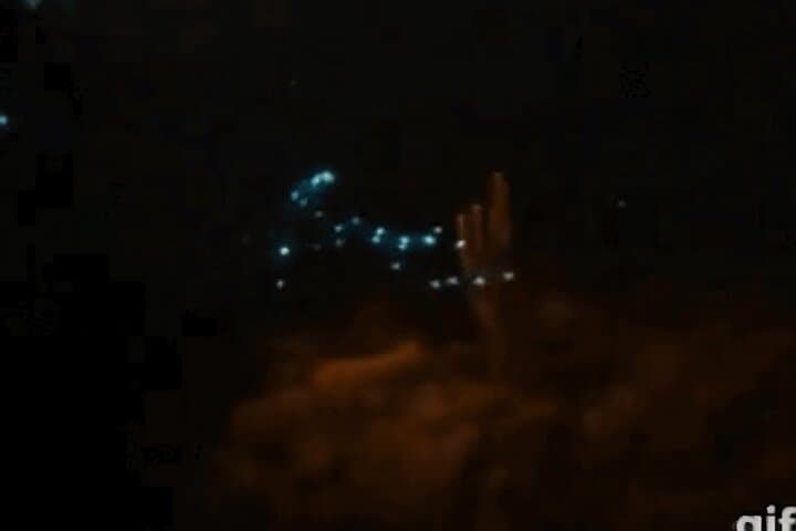 Bonaire Bioluminescent Night Snorkeling: See Ostracods Light Up the Sea photo 3