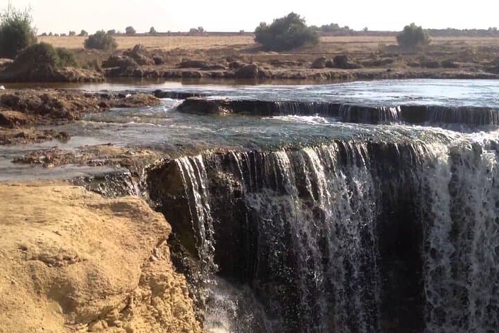 Full-Day Fayoum Oasis Tour from Cairo - Wadi El Rayan, Wadi Al-Hitan & Sandboarding photo 3
