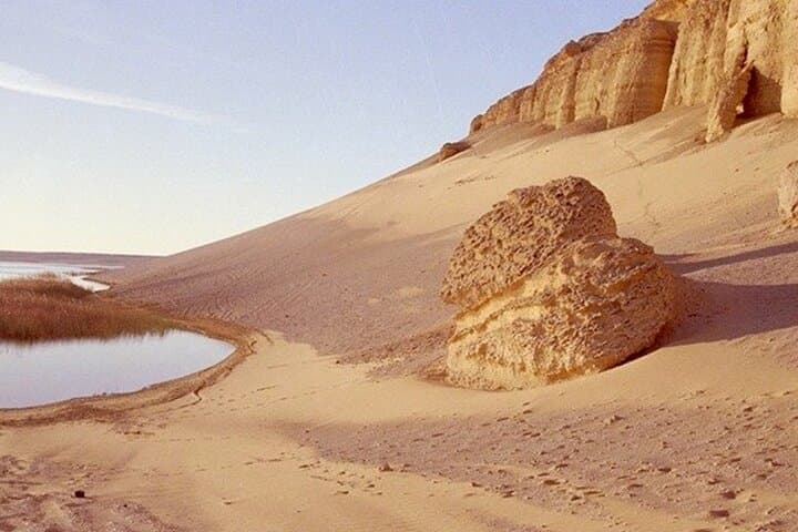 Full-Day Fayoum Oasis Tour from Cairo - Wadi El Rayan, Wadi Al-Hitan & Sandboarding photo 5