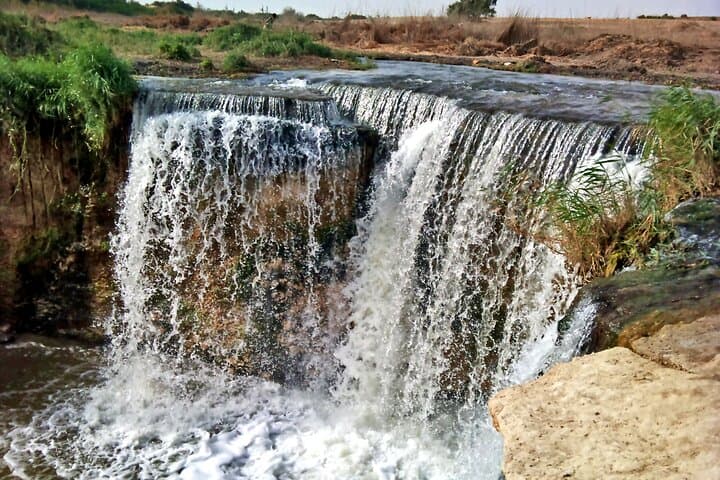 Full-Day Fayoum Oasis Tour from Cairo - Wadi El Rayan, Wadi Al-Hitan & Sandboarding photo 6