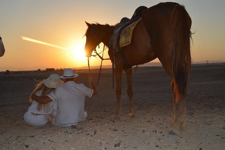 Horseback Riding on the Red Sea: 2-Hour Beach & Desert Ride in Hurghada photo 2