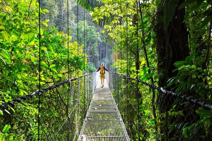 Costa Rica Tropical Relaxation: 8-Day Rainforest, Volcano & Beach Tour