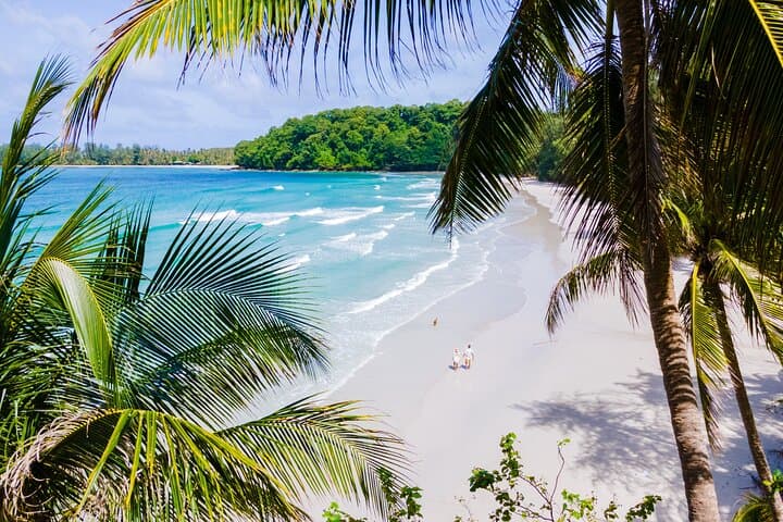Costa Rica Tropical Relaxation: 8-Day Rainforest, Volcano & Beach Tour photo 5