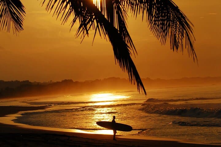 Costa Rica Tropical Relaxation: 8-Day Rainforest, Volcano & Beach Tour photo 6