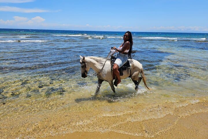 Roatán Horseback, Wildlife & Snorkel Combo — West Bay Reef & Sanctuary Adventure photo 3