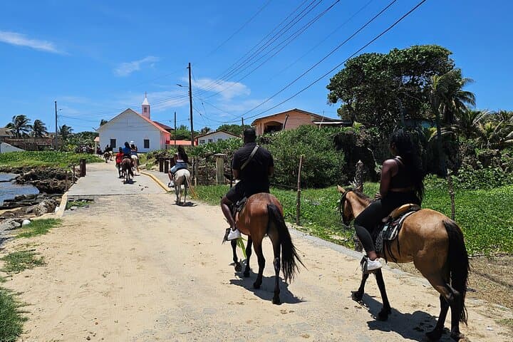 Roatán Horseback, Wildlife & Snorkel Combo — West Bay Reef & Sanctuary Adventure photo 2